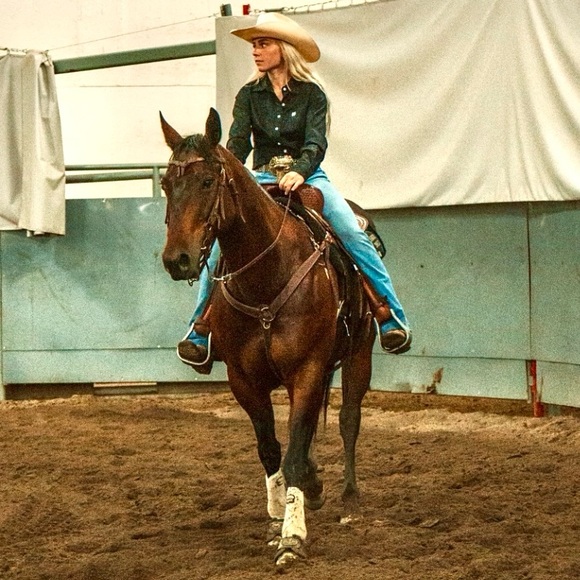 Meet your Posher, Koda - Picture 1 of 1